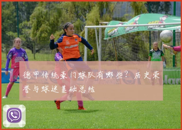 德甲传统豪门球队有哪些？历史荣誉与球迷基础总结